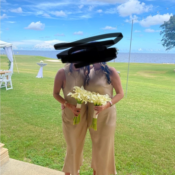 Elegant beige/brown Sleeveless Dress - Picture 3 of 7